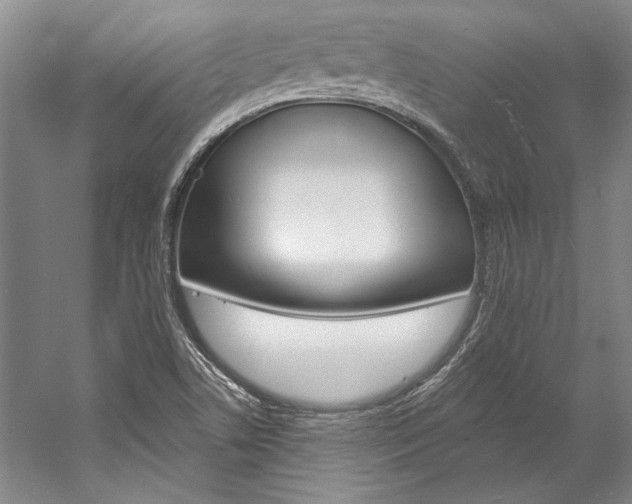 X0000057091506200509090925