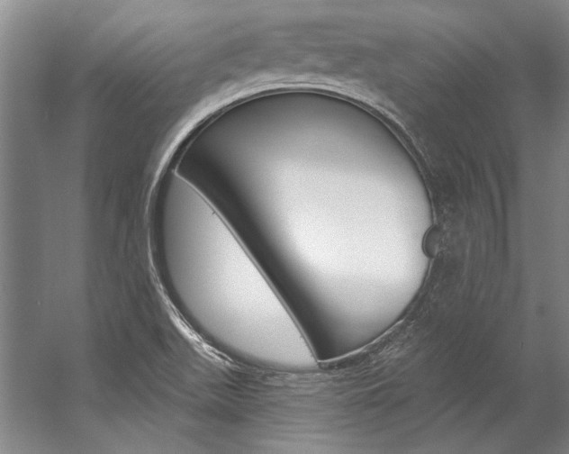 X0000057091511200509090925