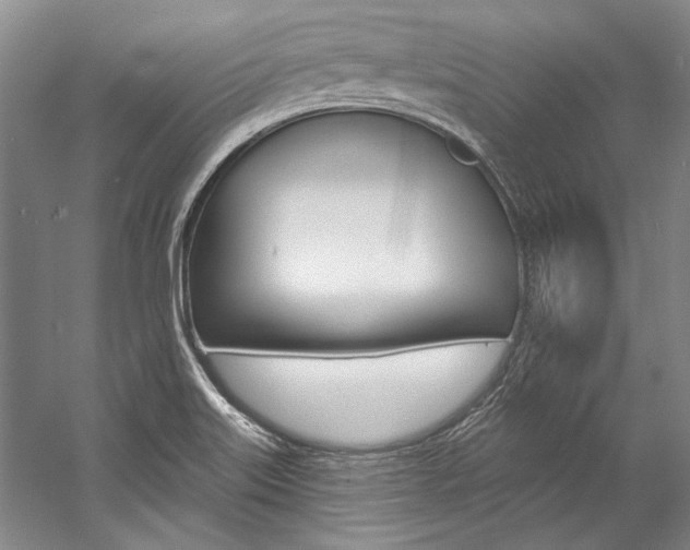 X0000057091515200509090925