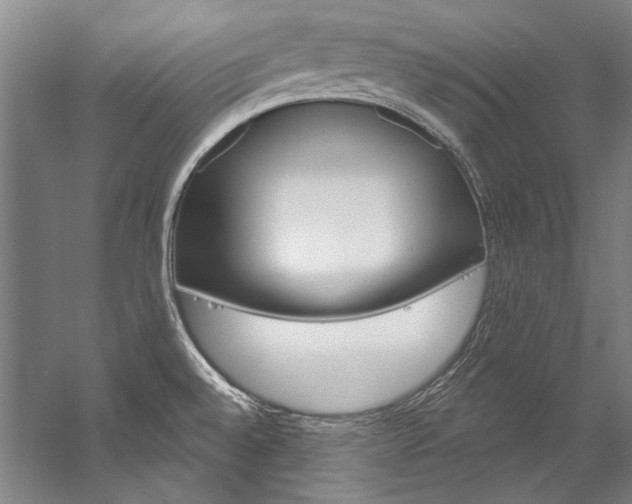 X0000057091528200509090925
