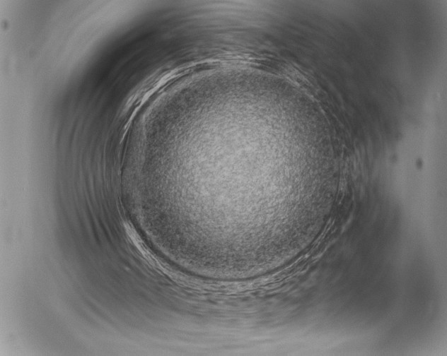 X0000057090002200509091325