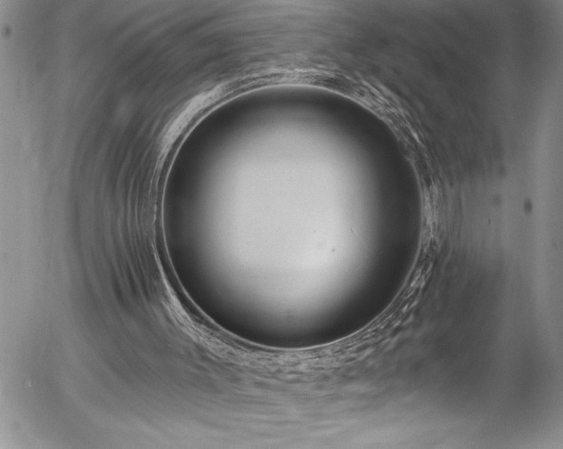 X0000057090003200509091325