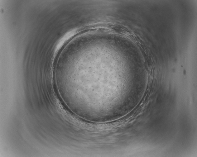 X0000057090006200509091325