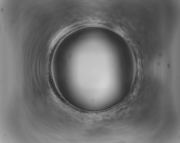 X0000057090007200509091325