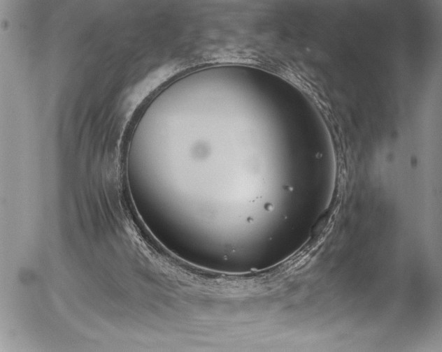 X0000057090008200509091325