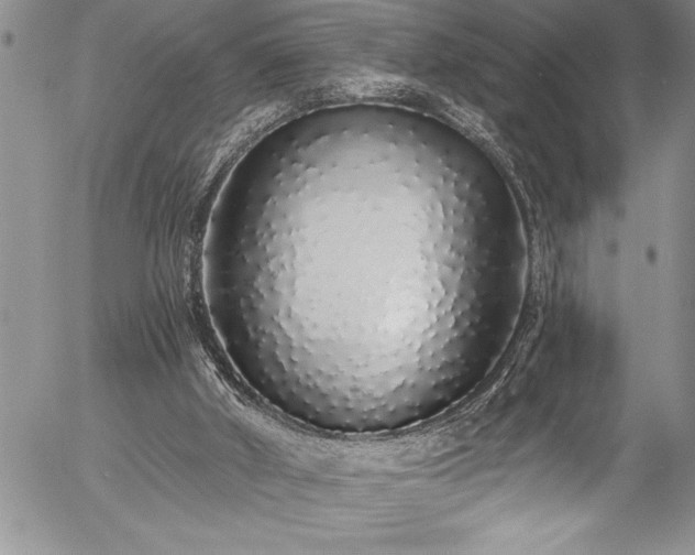 X0000057090010200509091325