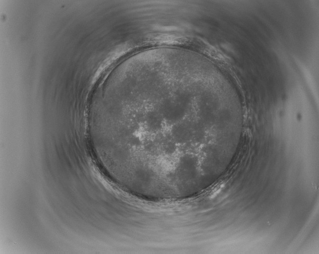 X0000057090012200509091325