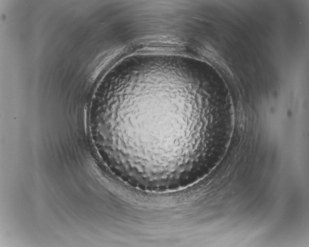 X0000057090014200509091325