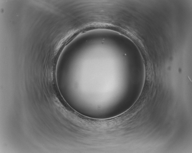 X0000057090015200509091325