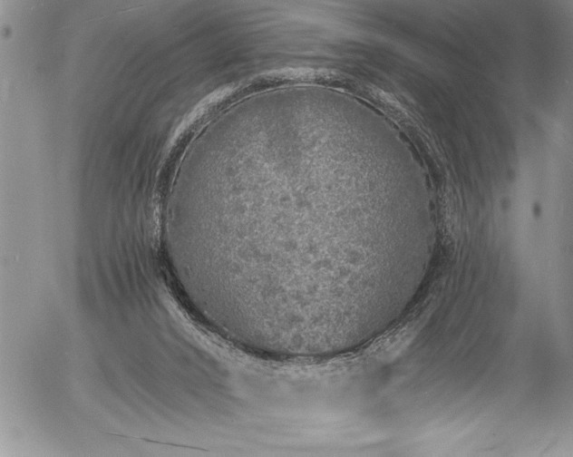 X0000057090016200509091325