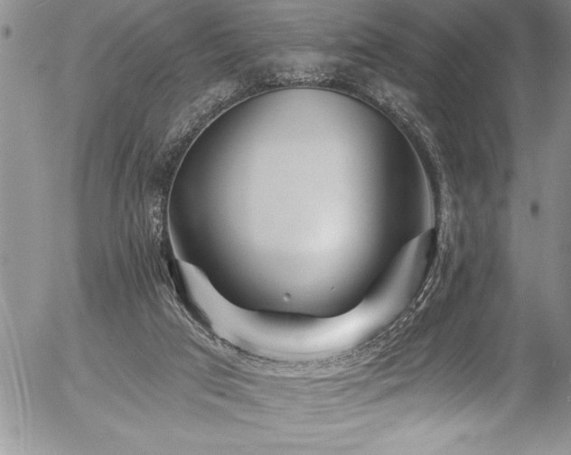 X0000057090017200509091325