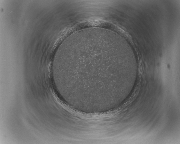 X0000057090018200509091325