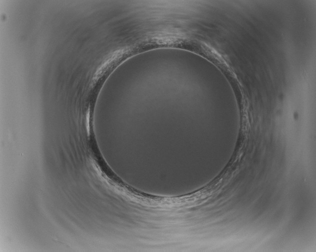 X0000057090019200509091325