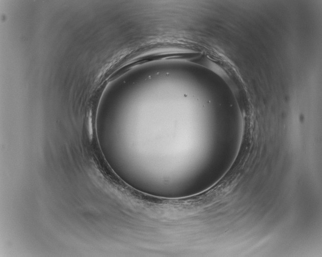 X0000057090020200509091325