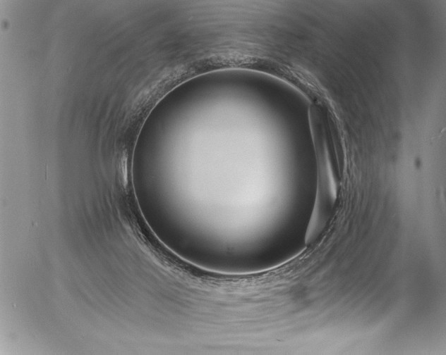 X0000057090021200509091325