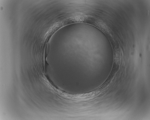 X0000057090023200509091325