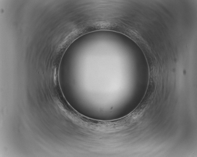 X0000057090024200509091325