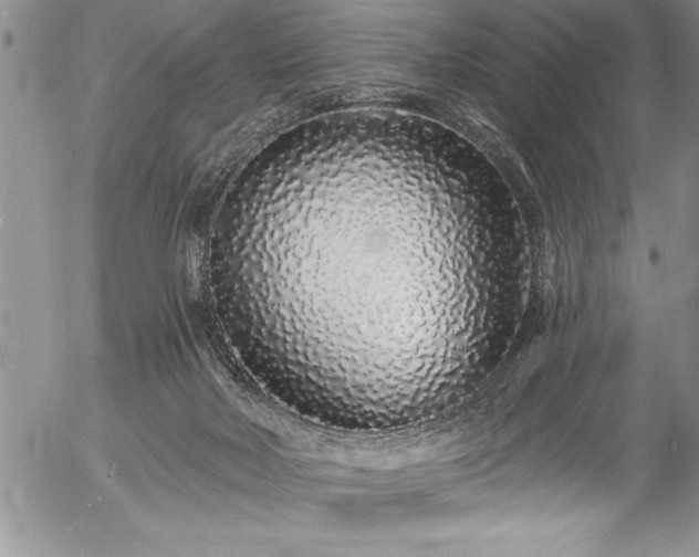 X0000057090026200509091325