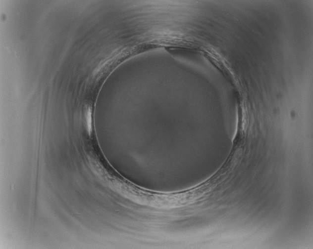 X0000057090027200509091325