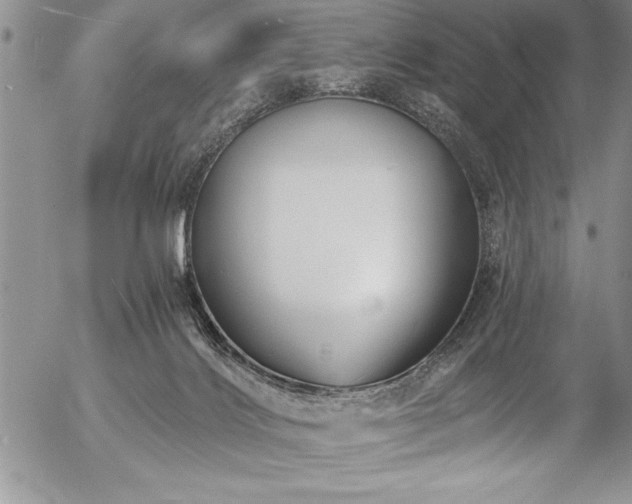 X0000057090028200509091325