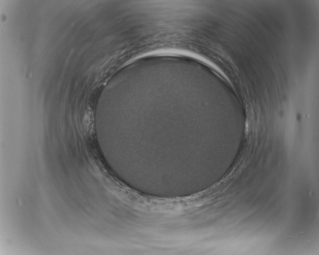 X0000057090029200509091325