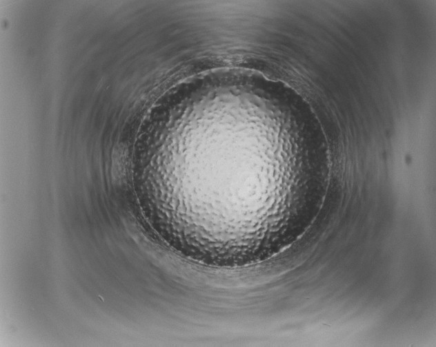 X0000057090030200509091325