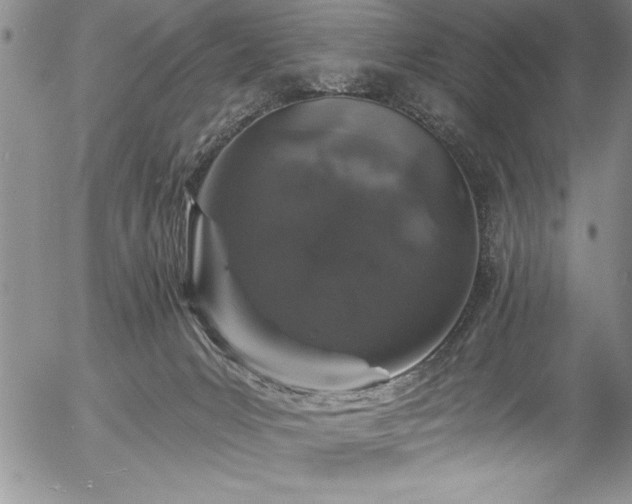 X0000057090031200509091325