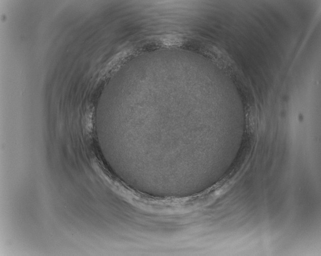 X0000057090032200509091325