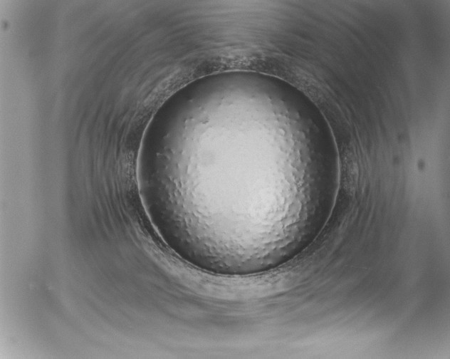 X0000057090034200509091325