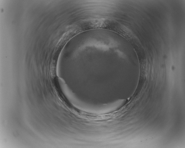 X0000057090035200509091325