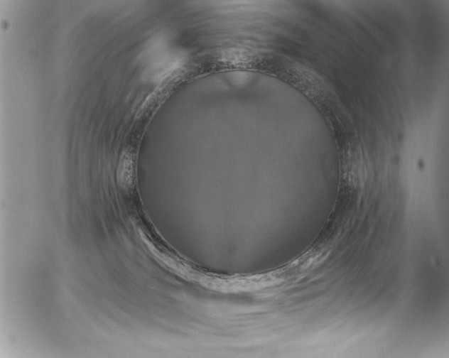 X0000057090036200509091325