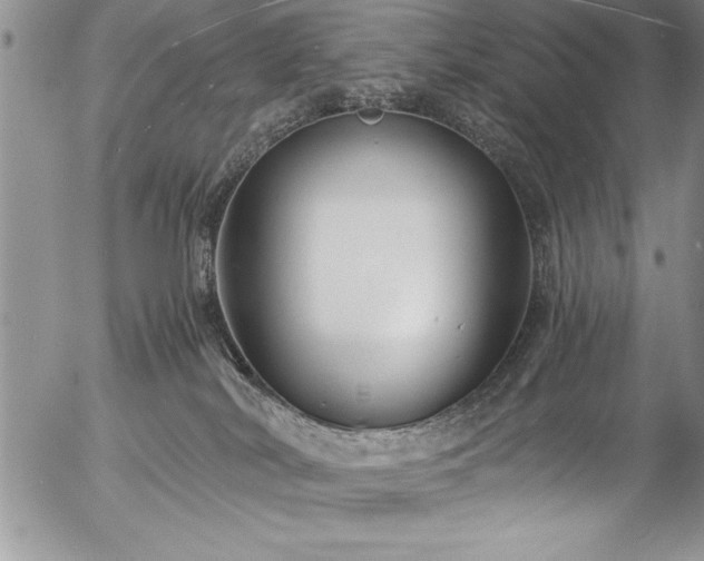 X0000057090038200509091325