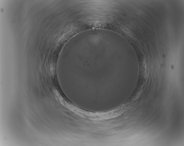 X0000057090039200509091325