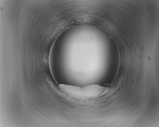 X0000057090040200509091325