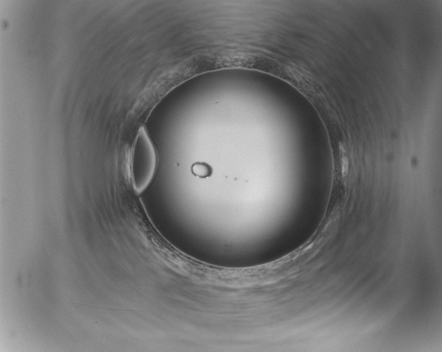 X0000057090041200509091325