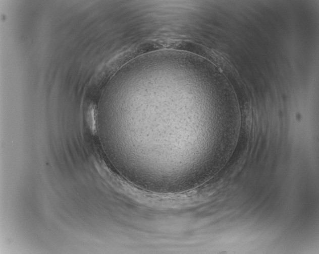 X0000057090042200509091325