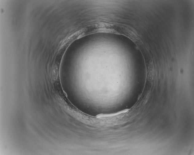 X0000057090043200509091325