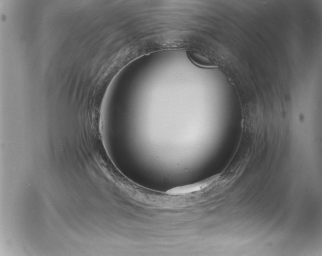 X0000057090044200509091325