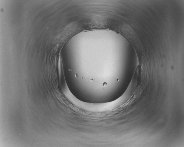 X0000057090045200509091325