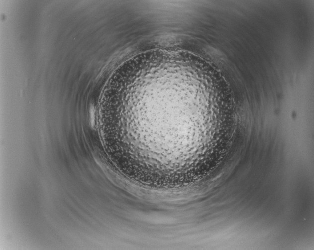 X0000057090046200509091325