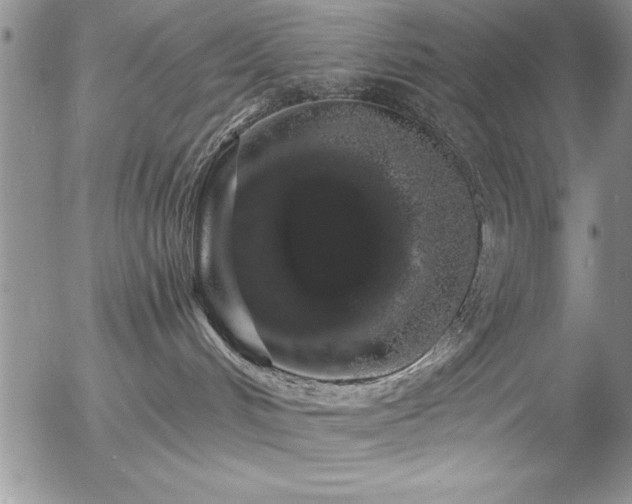 X0000057090048200509091325