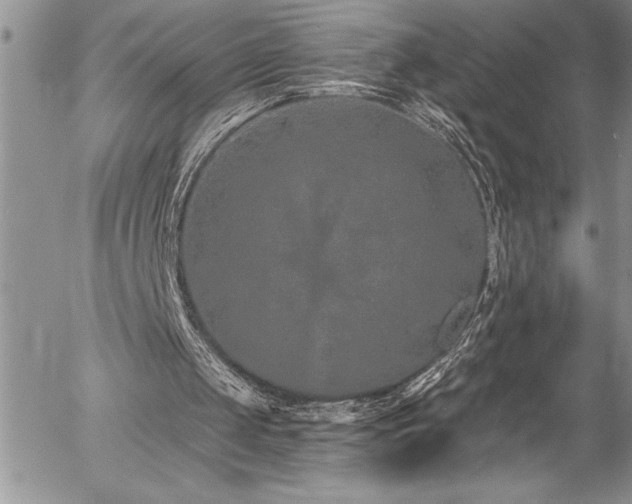 X0000057090049200509091324