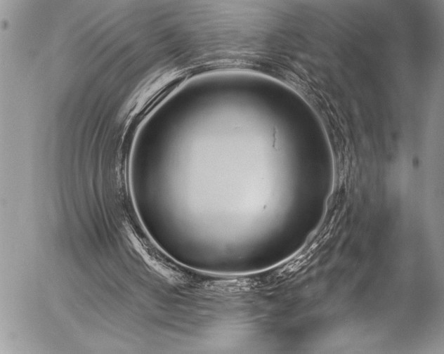 X0000057090050200509091324