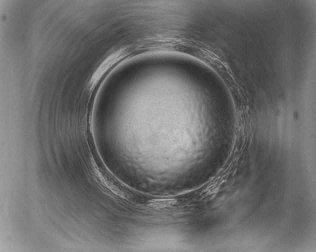 X0000057090051200509091324