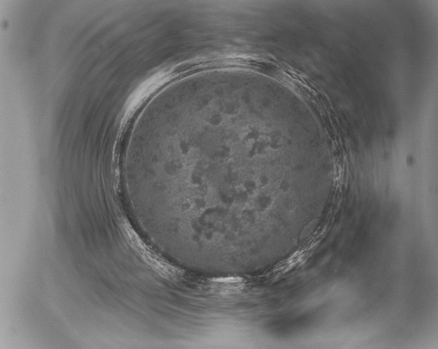 X0000057090053200509091324