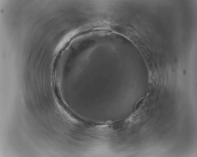 X0000057090054200509091324