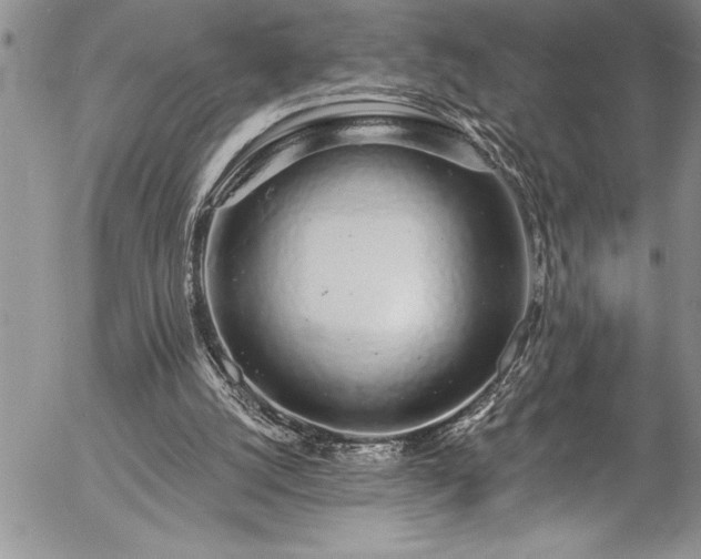 X0000057090056200509091324