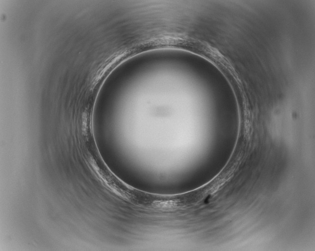 X0000057090057200509091324