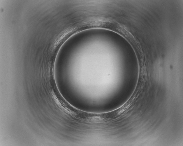 X0000057090058200509091324