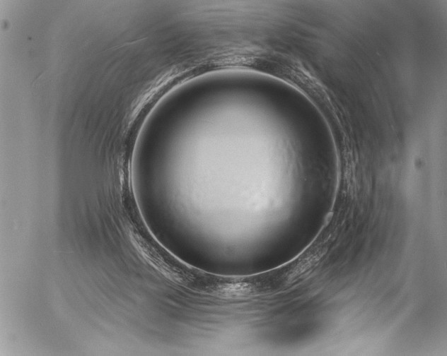 X0000057090059200509091324